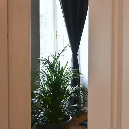 A Star Apartment *